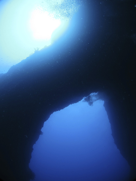 b0062363_20441144.jpg
