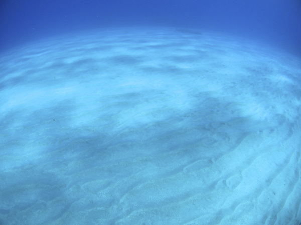 b0062363_20505540.jpg