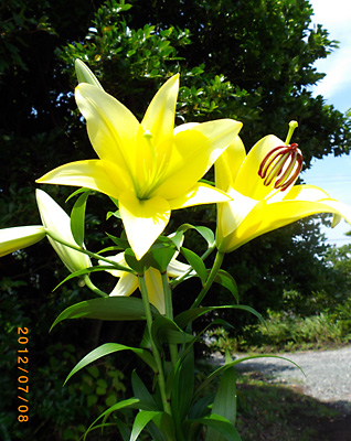 e0097770_1038746.jpg