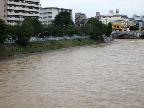 d0171374_15561993.jpg