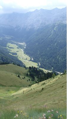 e0024081_1313493.jpg