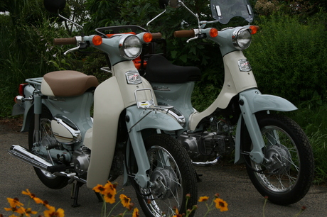 a0279883_16521151.jpg