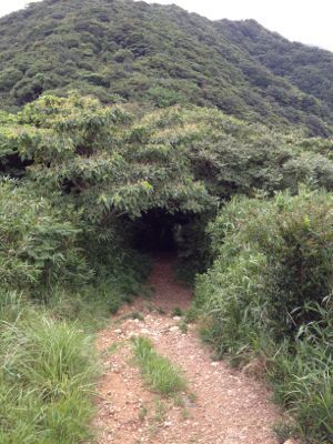 c0034396_2116321.jpg