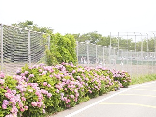 c0187298_23114980.jpg