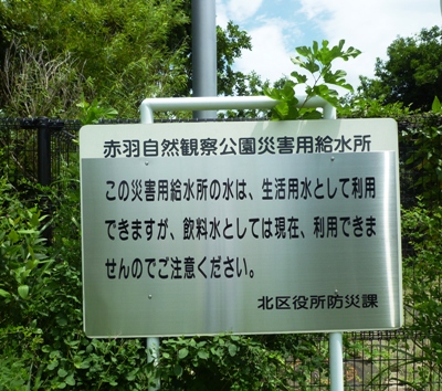 d0180499_2261499.jpg