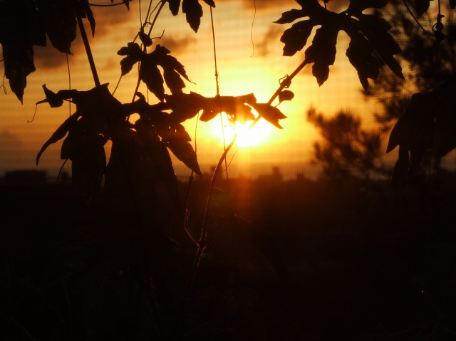 c0187403_15354440.jpg