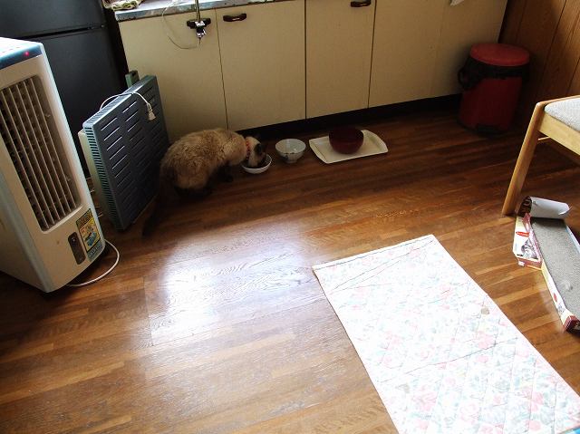 c0187403_15435181.jpg