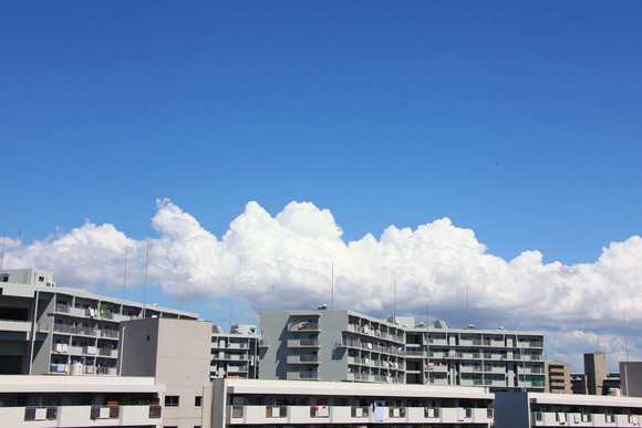 b0253905_23544216.jpg