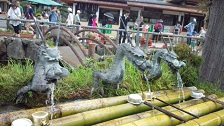 f0054809_15395478.jpg