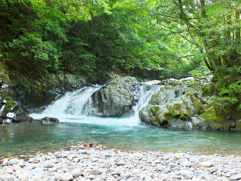 f0182513_221153.jpg