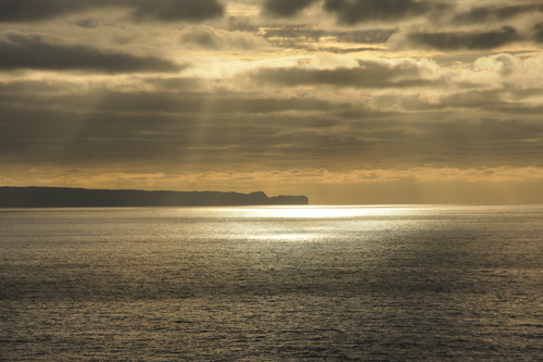 f0213818_2291617.jpg