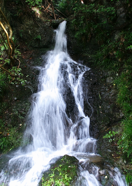 a0257124_0124617.jpg