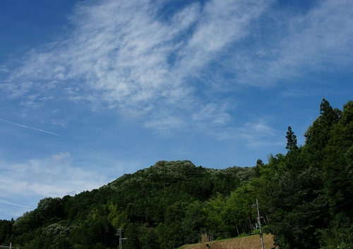 a0257124_019408.jpg