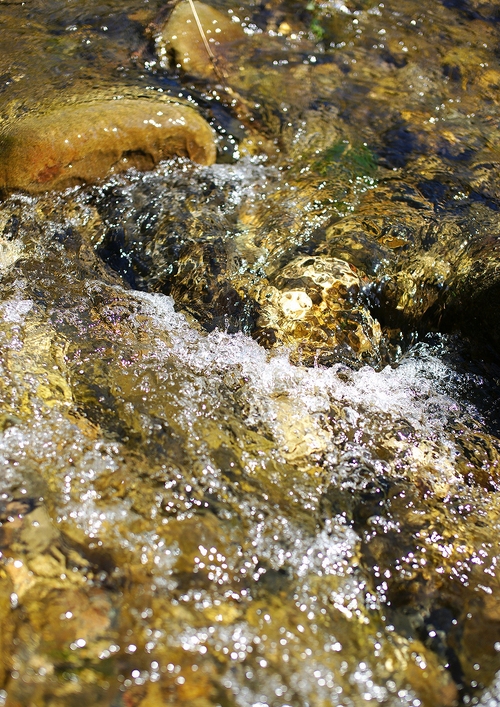 a0257124_0232255.jpg