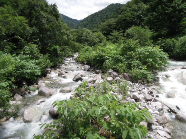 e0147226_22474774.jpg