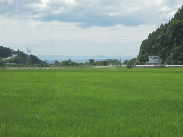 e0147226_2254564.jpg