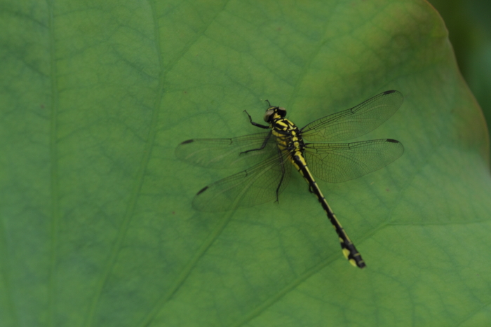 c0215627_2347440.jpg