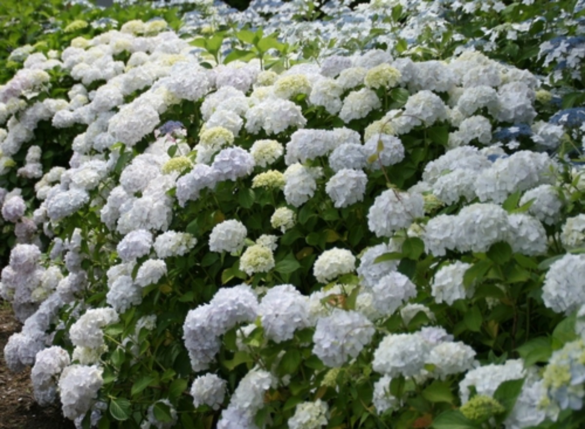 e0033229_20554971.jpg