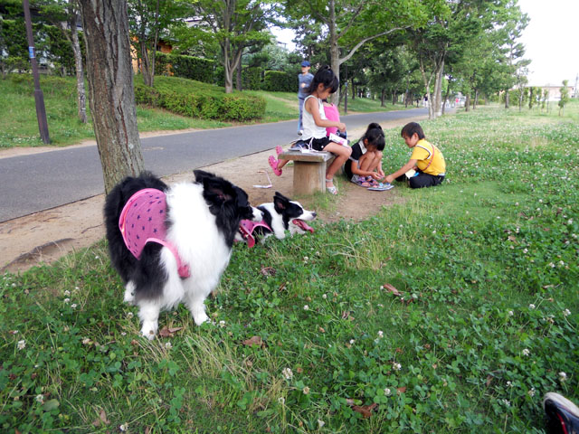 d0059230_8193961.jpg