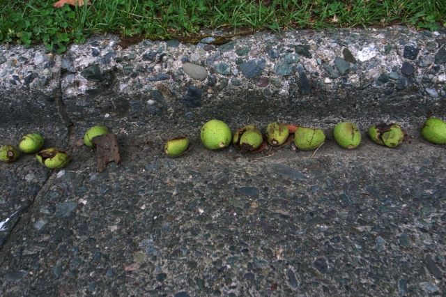 c0051132_21184711.jpg