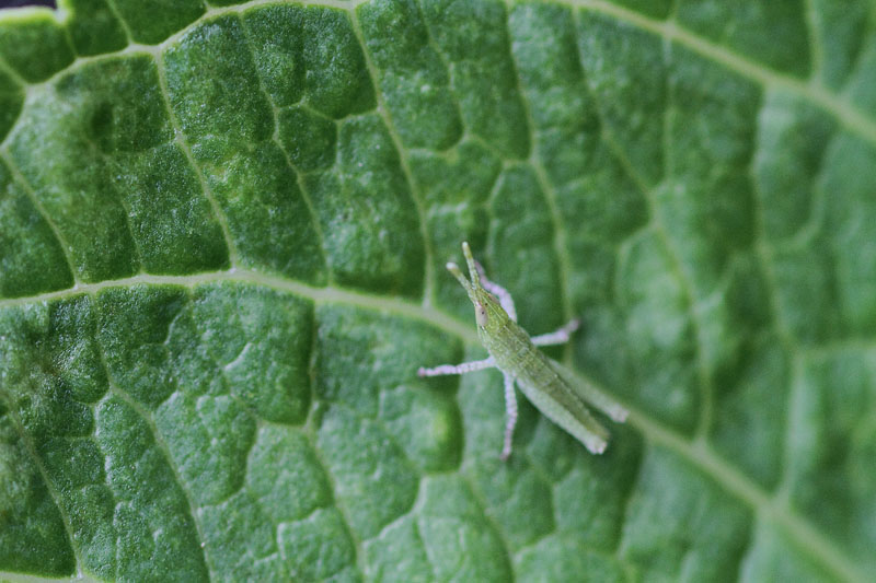 b0042837_5333597.jpg