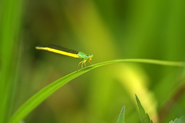 a0242438_19144465.jpg