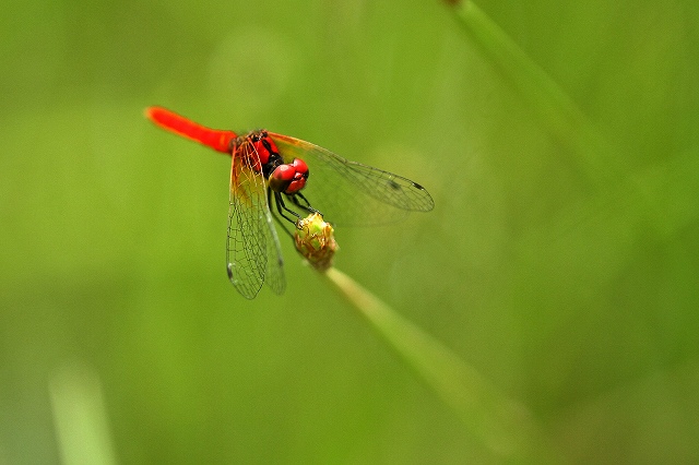 a0242438_19152583.jpg