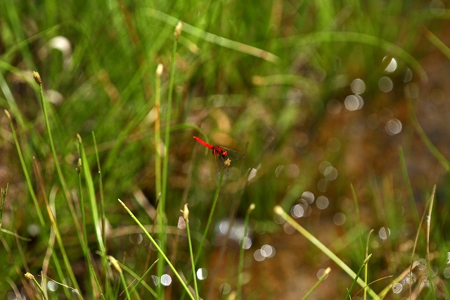 a0242438_19155100.jpg