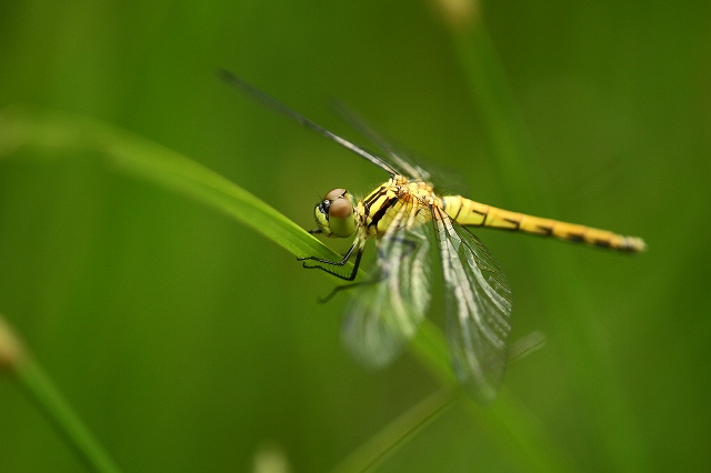 a0242438_19164279.jpg
