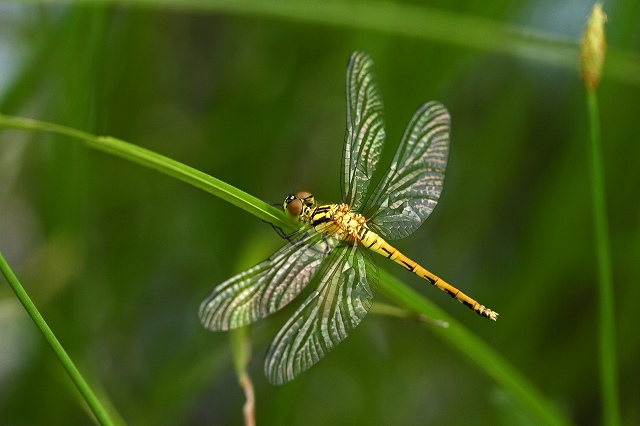 a0242438_19165021.jpg