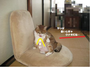 e0255638_15233682.png