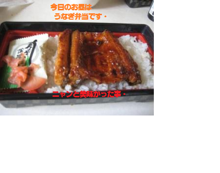 e0255638_1525957.png
