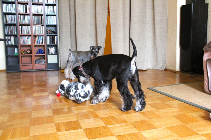 c0153740_22292059.jpg