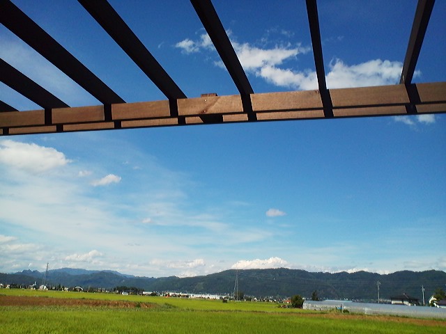 a0272241_17391170.jpg