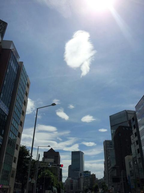 d0075741_22533323.jpg