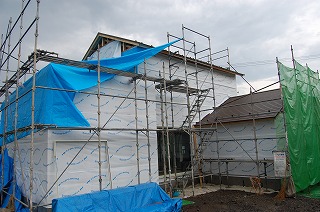 b0082242_91795.jpg