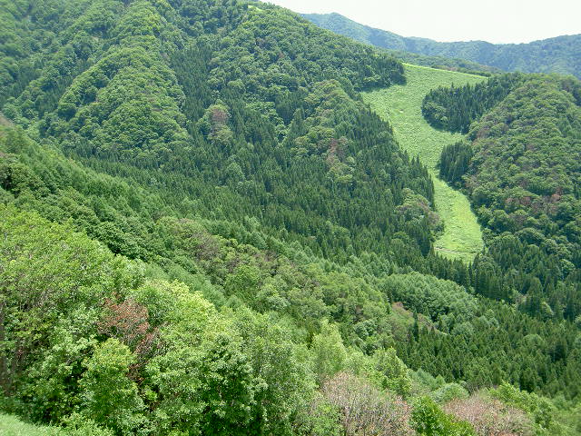 e0221442_20442712.jpg