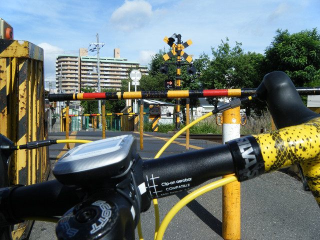 b0088444_2303415.jpg