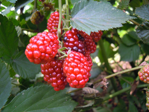 e0034047_22511676.jpg