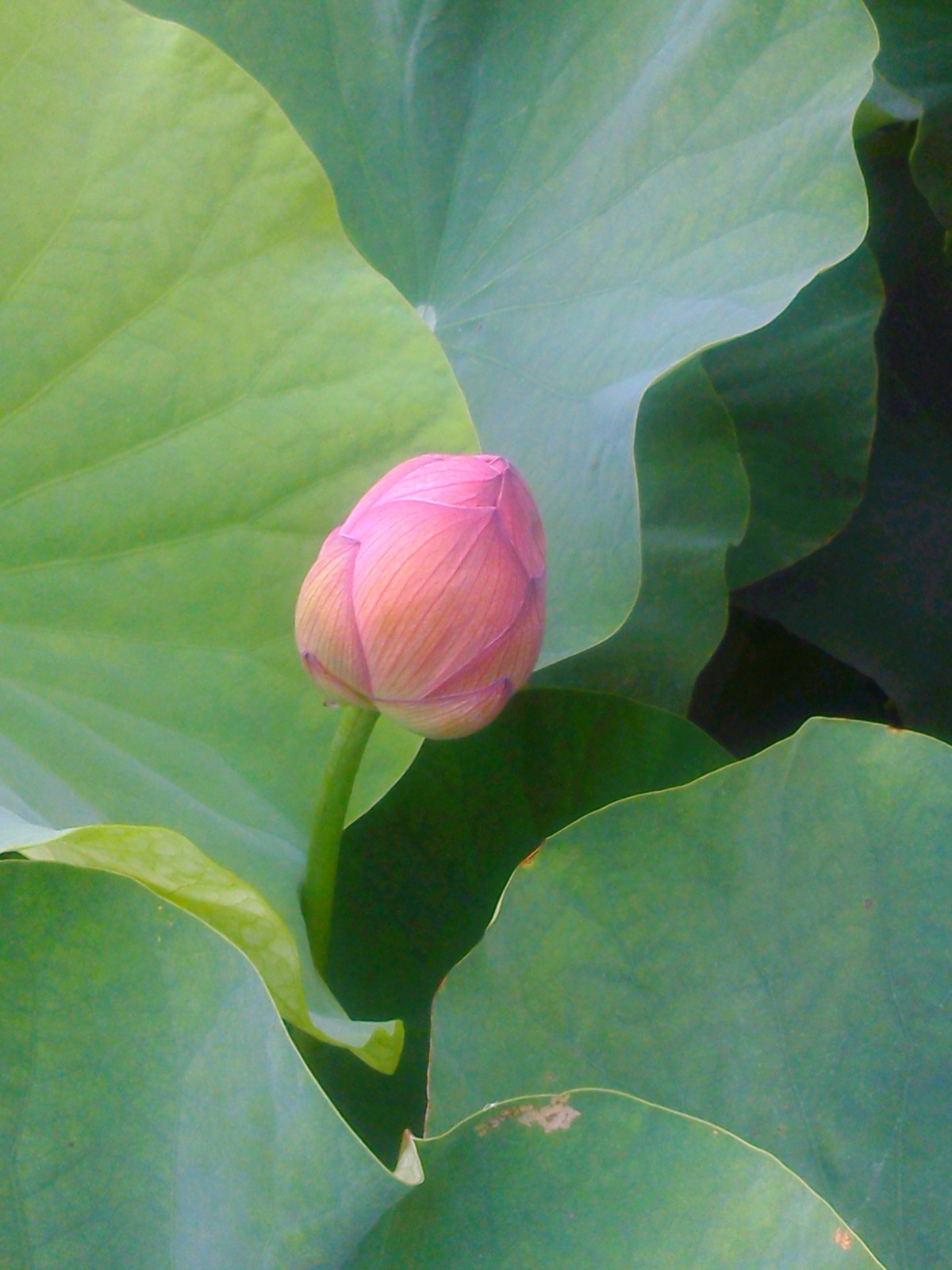 b0200849_21225693.jpg