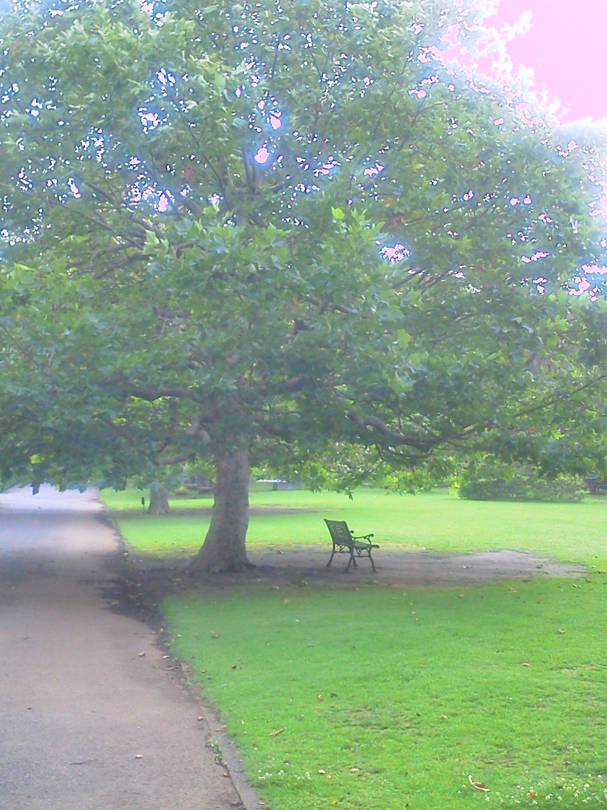 b0200849_21551392.jpg