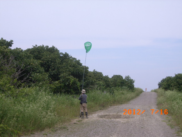 a0157451_1623271.jpg