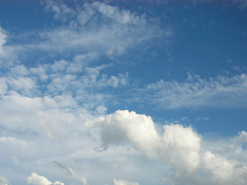 c0225153_21132711.gif