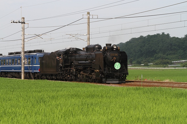 b0002858_2334137.jpg
