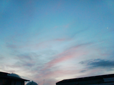 b0177760_832149.jpg