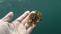 c0049060_0322027.jpg