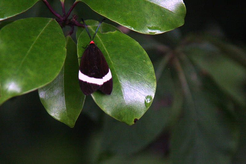d0244960_6413013.jpg