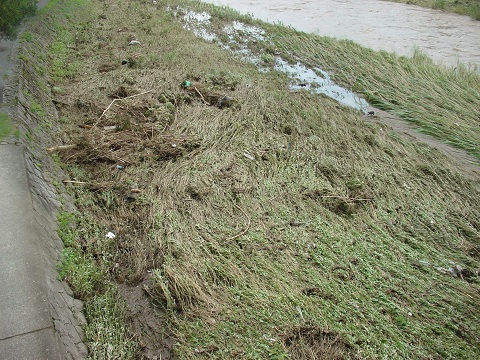 b0194872_220920.jpg