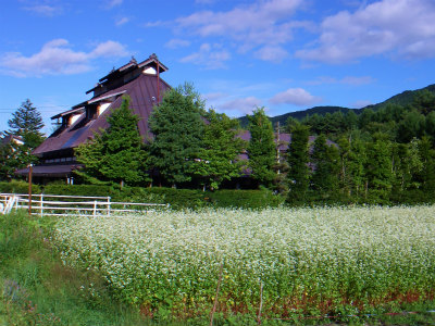 f0182173_1311918.jpg