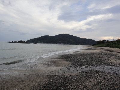 d0182075_11382215.jpg